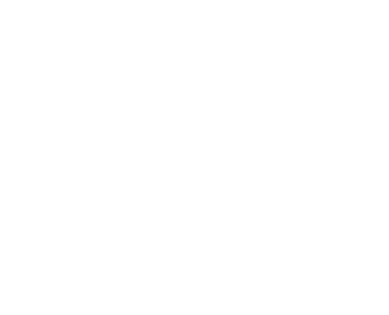 ApexStore